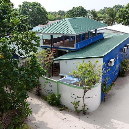 Leaf Fish Guesthouse Maldives Keyodhoo  Bagian luar foto