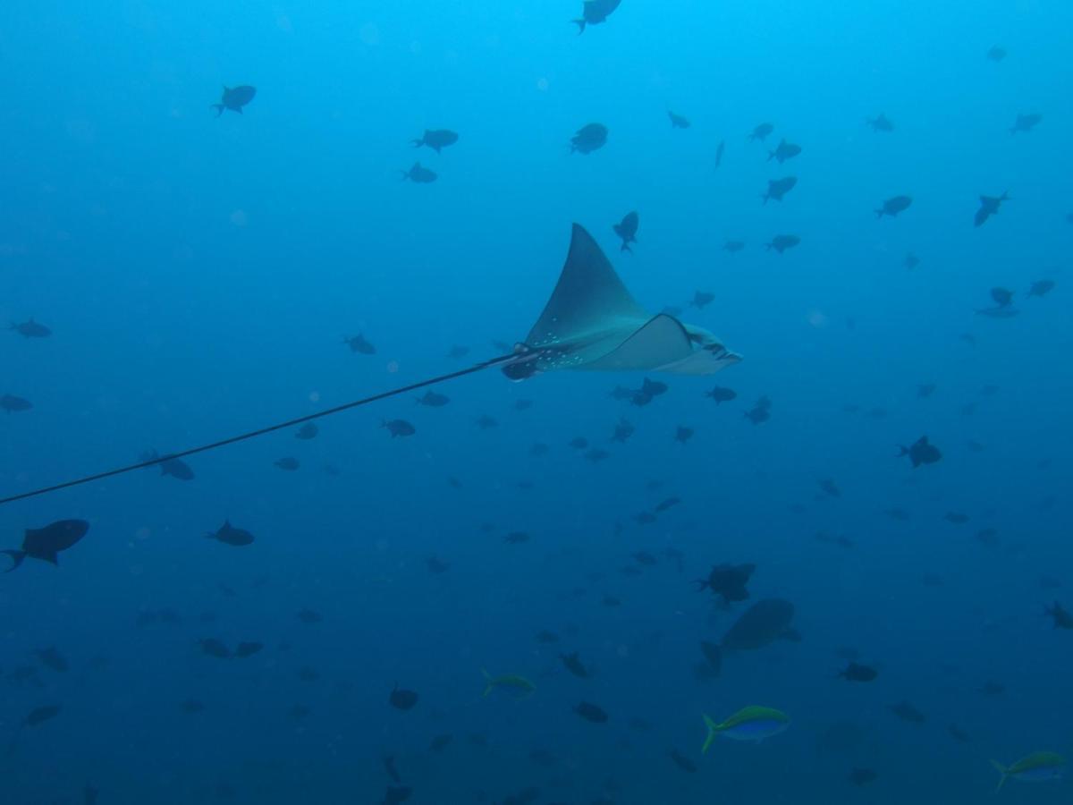 Leaf Fish Guesthouse Maldives Keyodhoo  Bagian luar foto