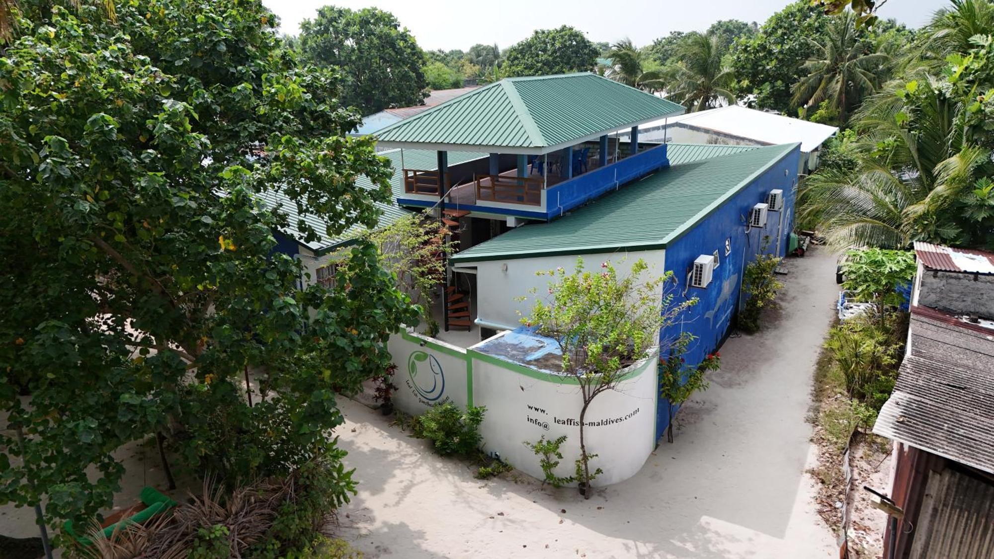 Leaf Fish Guesthouse Maldives Keyodhoo  Bagian luar foto